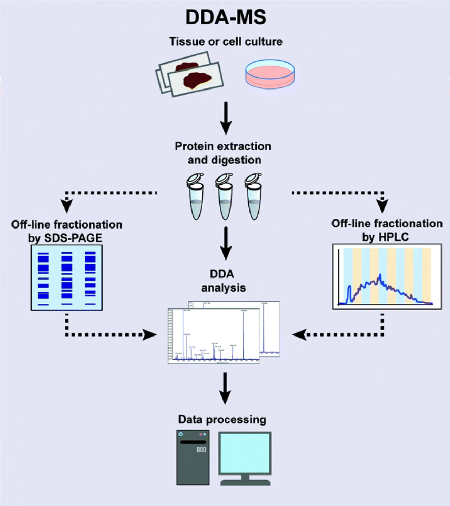 data-dependent-acquisition-service2