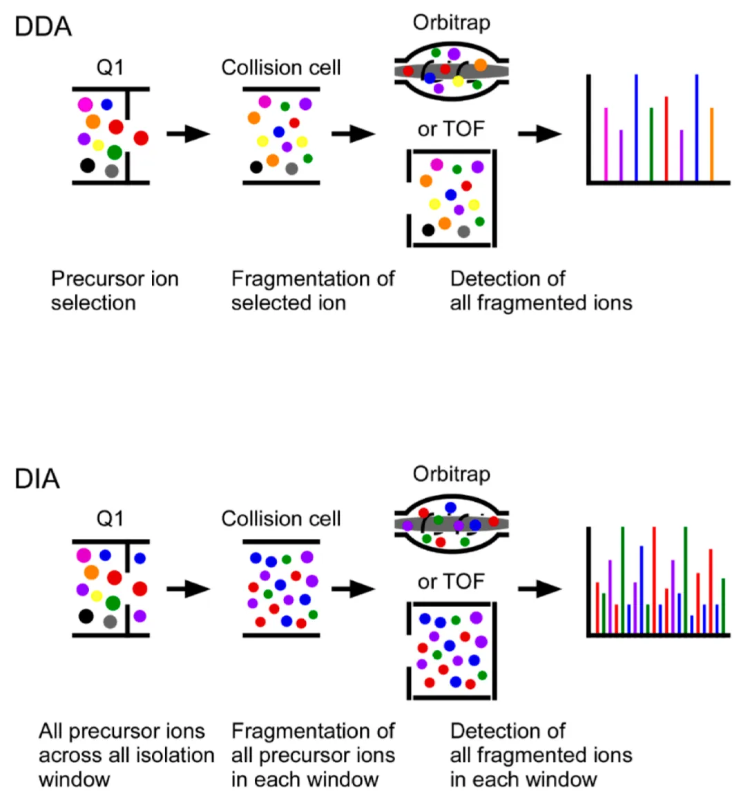 dia-ms-based-quantitative-service1