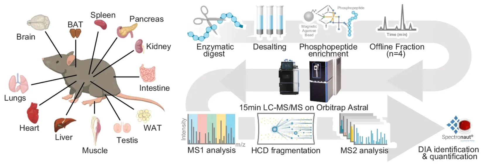 dia-ms-based-quantitative-service2